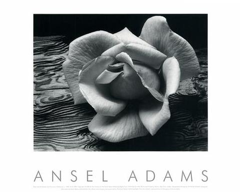 ansel-adams-photography-uk