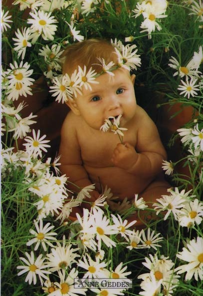 anne geddes baby pictures spitting